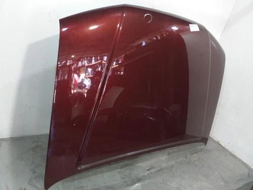 F5100EB3MA Capo para NISSAN PATHFINDER (R51) 2.5 dCi XE 2007 8700968 - Imagen 3 de 10