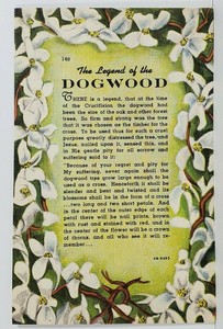 The-Legend-of-the-Dogwood-Vintage-Linen-Postcard-N8