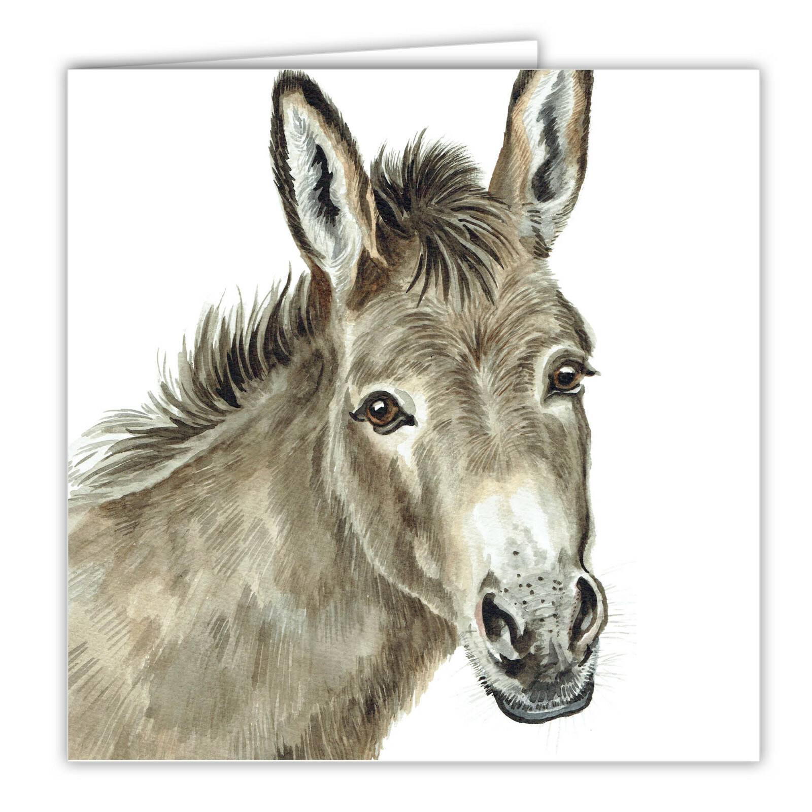 Donkey greetings card Donkeys blank card farm animals WaggyDogz art card equine