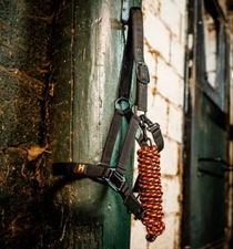 Horseware Newmarket Headcollar & Lead Rope - Whitney Gold