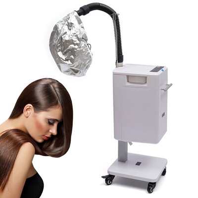Pro 500W Nano Hair Steamer Anion Hair Color Processor Beauty Salon Spa Equipment