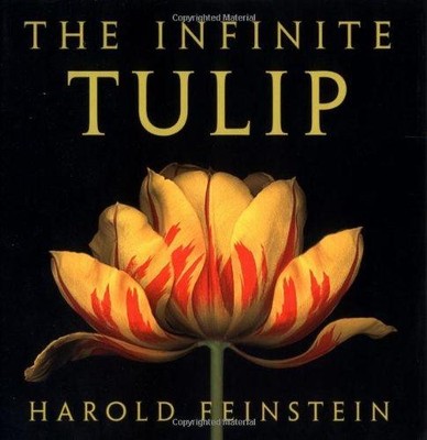 The Infinite Tulip - Feinstein, Harold