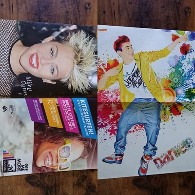 Miley Cyrus Daniele Poster Sammlung Konvulut Gr. M