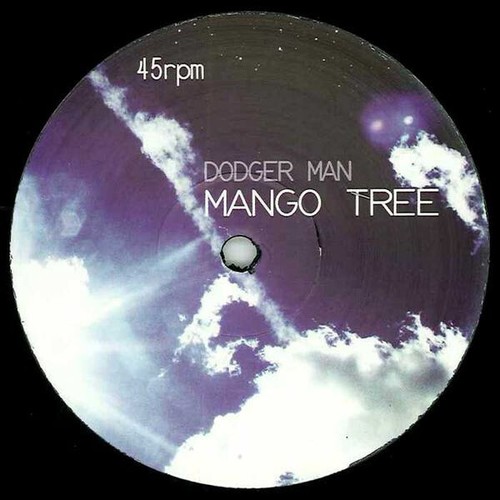 Drum n Bass Dubstep House Dance Vinyl 12" Singles - All Mint - Buy 5 Get 1 Free - Picture 38 of 64