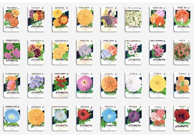 Unbenutzt 1940er Vintage American Flower Lone Star Seed Co. Pakete KOSTENLOSER UK-VERSAND