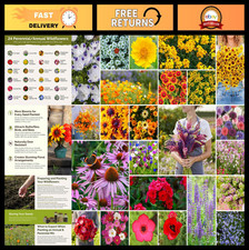 Southeast Wildflower Seed Mix - 1 lb, 480,000+ Seeds, Attracts Pollinators, Plan 102.99 per gallon