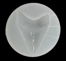 3" Authentic Shark Tooth Silicone Mold For Resin