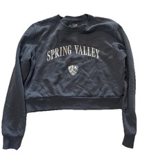 Hollister Cropped Sweatshirt Blue Logo Graphic Medium
