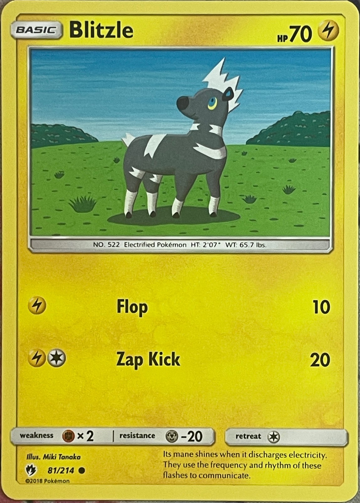 Blitzle - 81/214 - Lost Thunder Pokemon 2018