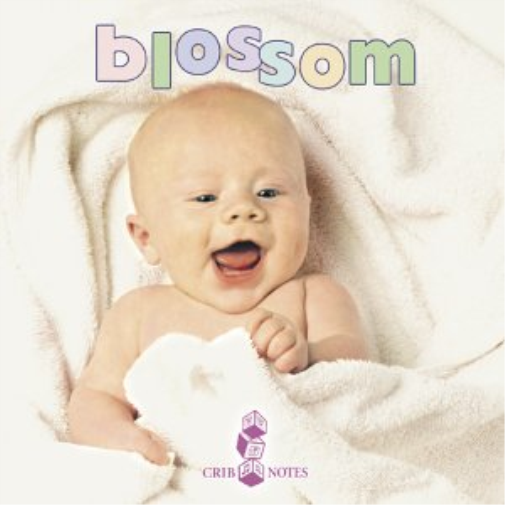 Various Bedtime Songs for Babies: Blossom (CD)