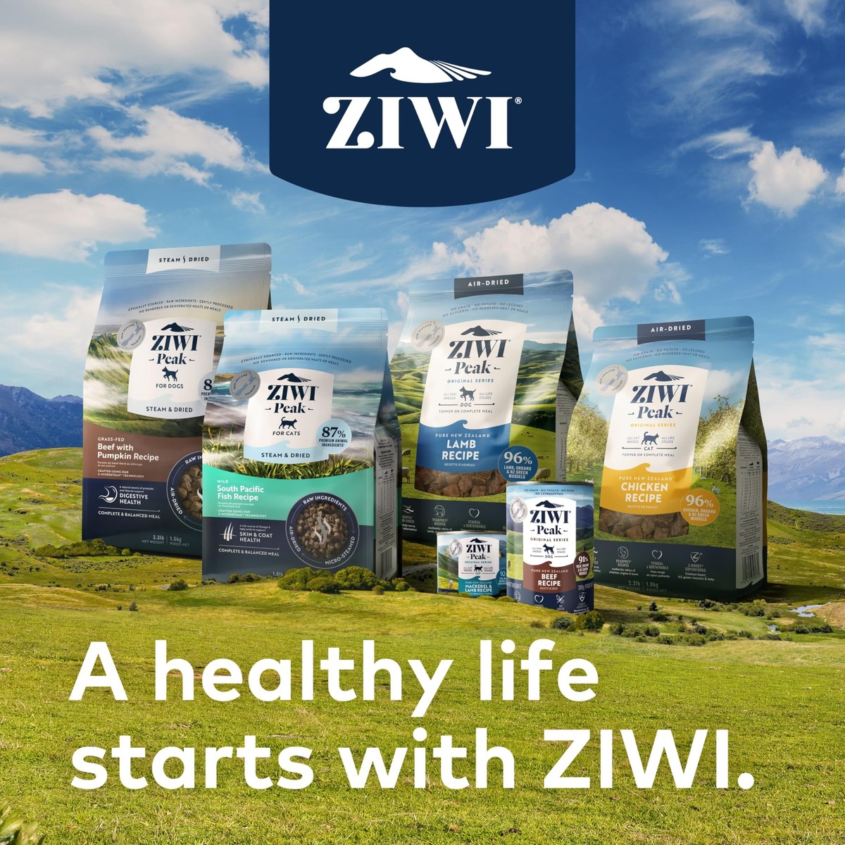 ZIWI Peak Canned Wet Cat Food – All Natural High Protein Grain