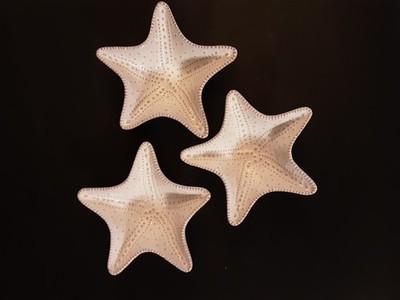 Mud Pie 3 Terracotta Milk Glazed Finish Starfish Shaped Bowls Butter Nuts Candy