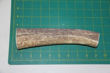 XLarge Upper Elk Antler Dog Chew 53 / bone chews moose treats deer 1021