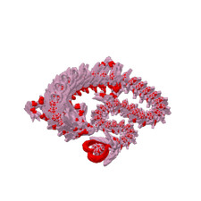 Heart Dragon Limited Release V1 (2024) (CW3D)