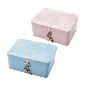 Toys Candy Or Passport Keepsakes Decorative Metal Organizer Case