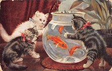 Animales domésticos gatitos gato reloj pez dorado acuario 1910 postal C364