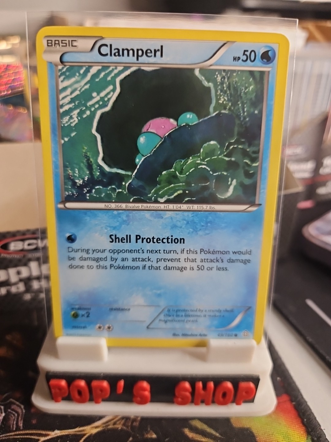 Clamperl 49/160 XY - Primal Clash Regular