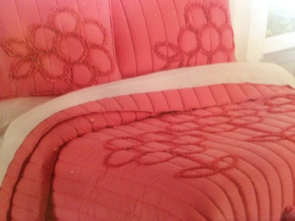 NEW CYNTHIA ROWLEY TWIN 2PC QUILT SHAM SET CORAL PINK FLORAL