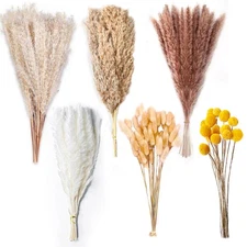 100PCS + 120PCS Natural Dried Pampas Grass Decor 17.5" Fluffy Pampas Grass Bo...
