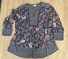 DR2 by Daniel Rainn Top Floral Paisley Blouse - size 1X