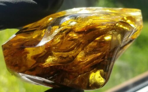 Polished Amber Baltic stones 5 insect inclusion Pendant 114 g Midge Mosquitoes - Imagen 4 de 12