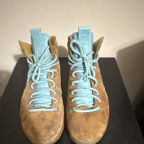 Nike Men's Nike LeBron X EXT Hazelnut Men’s 10.5