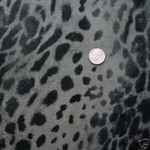 Vintage Leopard Skin