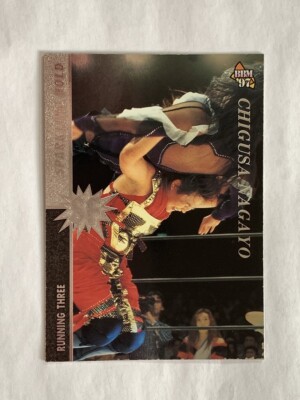 Chigusa Nagayo SF 173 Pro-Wrestling BBM 1997 Fight magazine rare