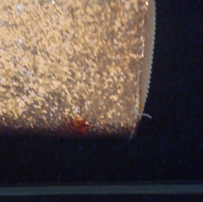 Gold Glitter Solid Pattern Zip-Around Zipper Wome… - image 3