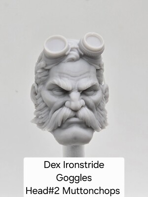 3d PrintED DEX IRONSTRIDE GOGGLES 1.0 Headsculpt#2 Mythic Legions 1/12 figure 
