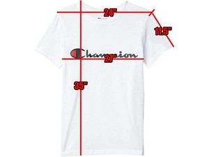 champion men's script jersey graphic tee