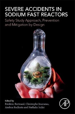 Severe Accidents in Sodium Fast Reactors: Safety Study Approach, Prevention and 