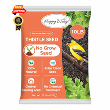 Happy Wings Nyjer/Thistle Seeds Wild Bird Food - 10 Pound Pack of 1 , Black