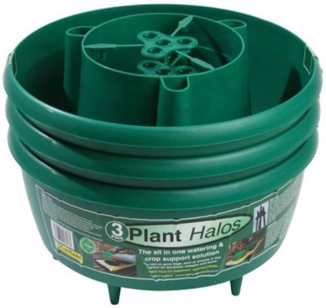 Plant Halos Set of 3 Crop Watering & Support Garland G167G 29cm Green