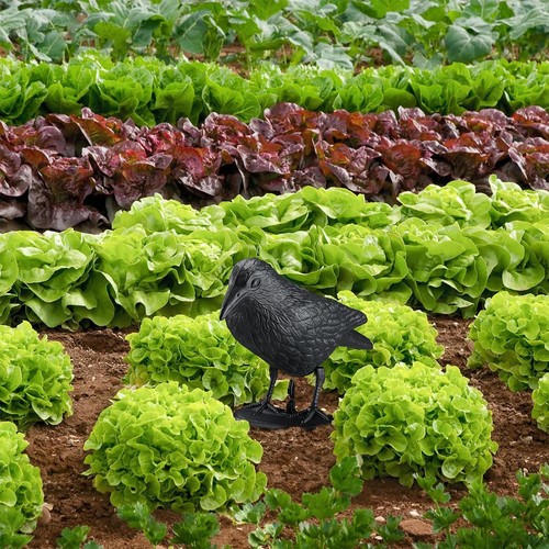 Crow Bird Garden Ornament Simulated Crow Outdoor Yard Animal Statue Craft Decor - Picture 10 of 12