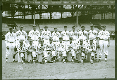 Negro leagues ニグロリーグ stead Grays Remembering the Homestead Grays