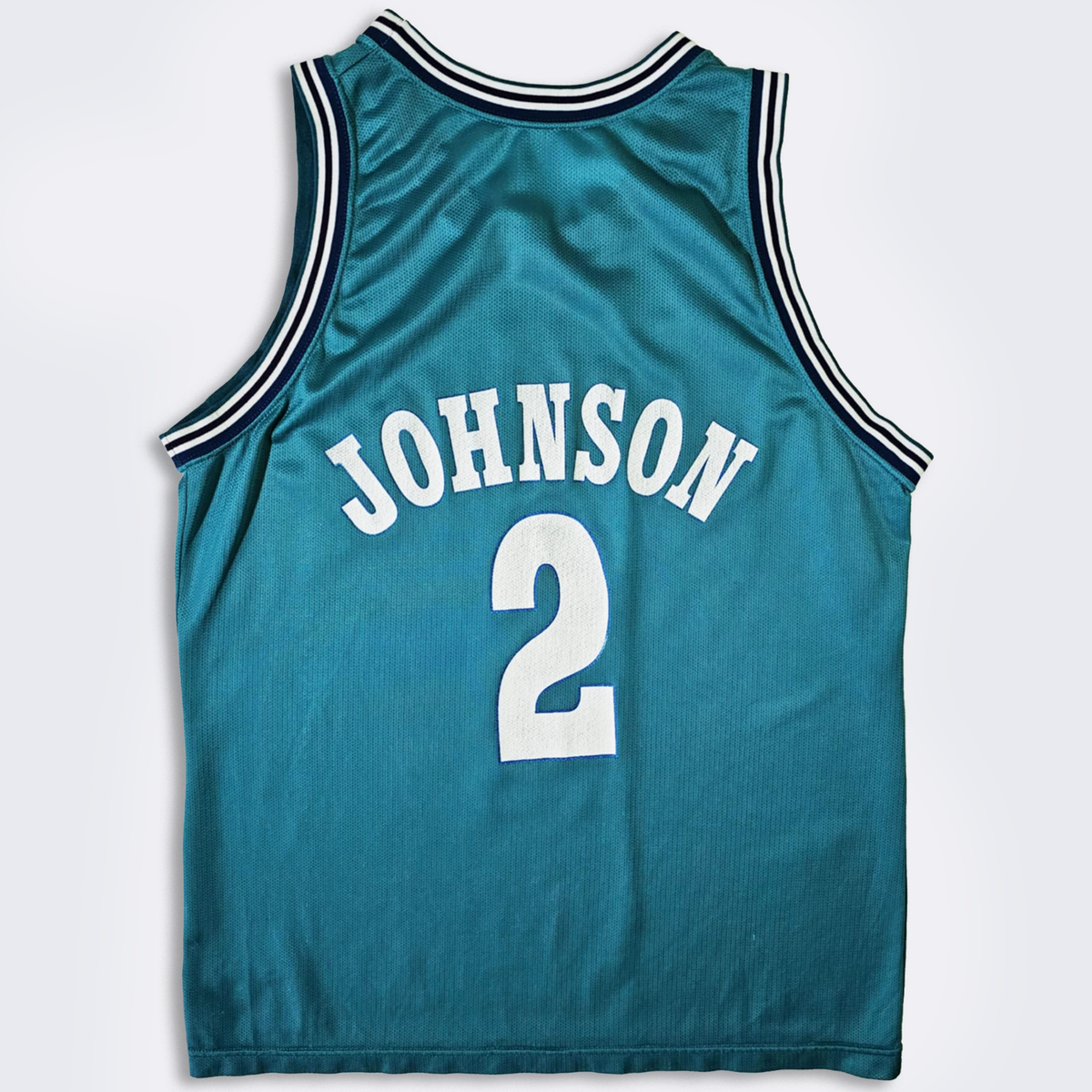Charlotte Hornets Vintage 90s Larry Johnson Champion Basketball