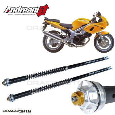 SUZUKI SV 650 1999-2002 cartridge ANDREANI 105/S01E MISANO EVO