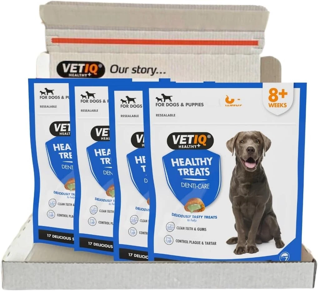 Healthy pet treats 2025