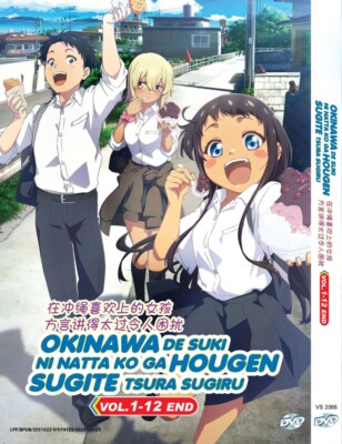 ANIME DVD OKINAWA DE SUKI NI NATTA KO GA HOUGEN VOL.1-12 END ENG SUB~REG ALL