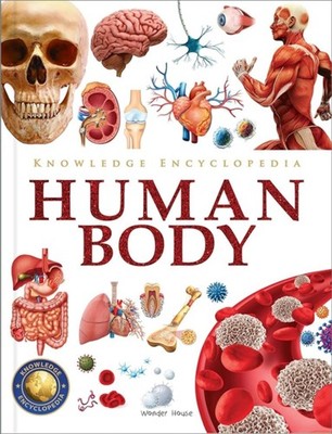 Knowledge Encyclopedia Human Body by Wonder House Books (Hardback Book)