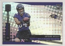 2019 Panini Unparalleled Rookie Antoine Wesley #248 m0m