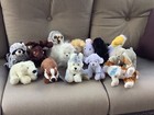 14 Webkinz Badger, Grey Owl, Yorkie, Velvety Elephant, Lil Poodle etc With Codes