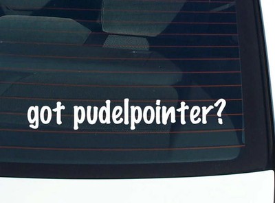 got pudelpointer? CAR DECAL BUMPER STICKER VINYL FUNNY JOKE WINDOW