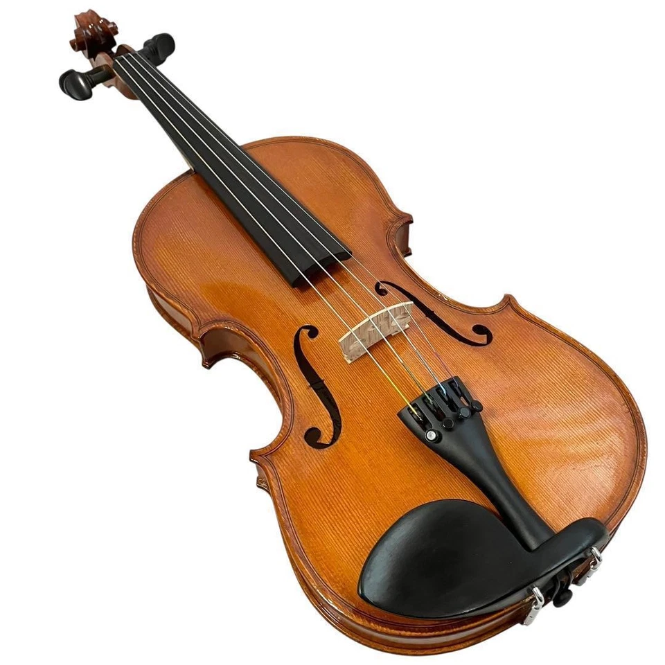 Violín GLIGA Gems1 tamaño 4/4 con estuche GLIGA Violín Foto 4 de 4