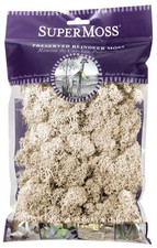 SuperMoss 21702 Reindeer Moss Preserved, 120 cu. in., Natural