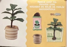🪴 MGA Miniverse Make It Mini Lifestyle Series 1/Wave 2..FIDDLE LEAF FIG
