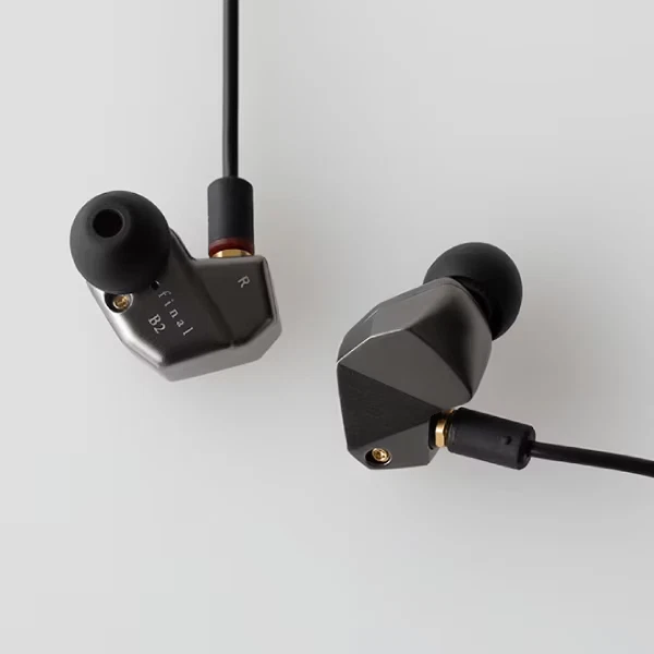 FINAL Audio B2 Canal type in ear monitor earphone B series MMCX FI B2BSSD