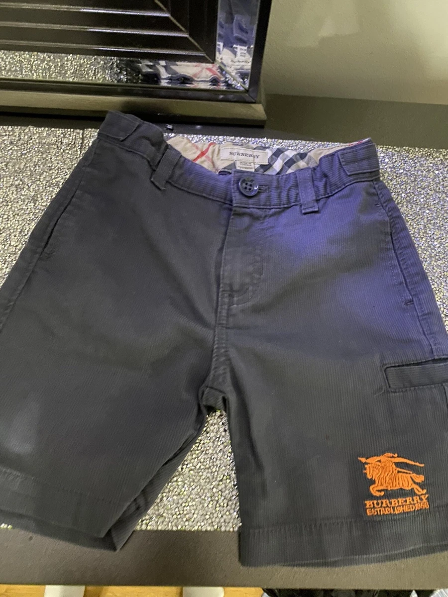Burberry Shorts Boys Gray Burberry Established 1856 Size 3 years