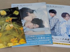 Hagiwara Toshihisa Yagi Yusei Official Visual Book Beautiful Boyfriend Pamphlet